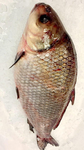 Buffalo Fish Whole