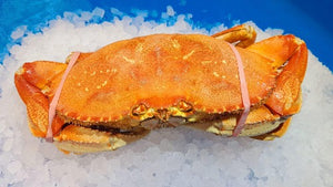 Dungeness Crab Whole (2 pounds crab)