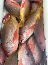Load image into Gallery viewer, Pargo / Snapper Whole Fish Price Per Pound