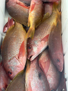 Pargo / Snapper Whole Fish Price Per Pound