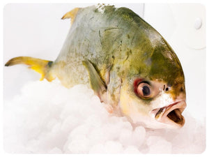 Pompano Whole Fish