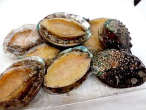 Abalone in Shell