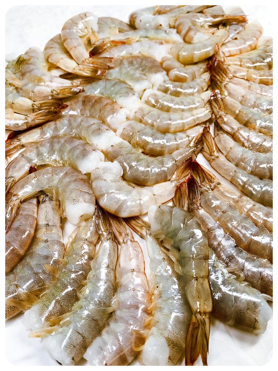 Mexican White Jumbo Shrimp