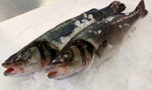 Branzino Whole Fish